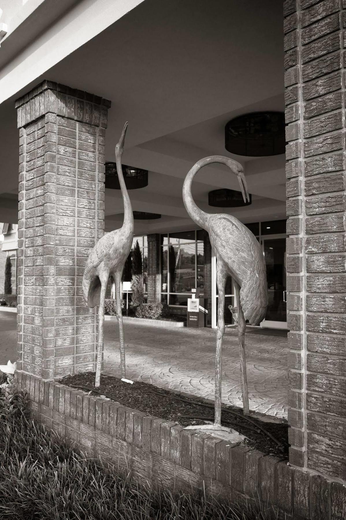 Town & Country Inn And Suites Charleston Exteriér fotografie